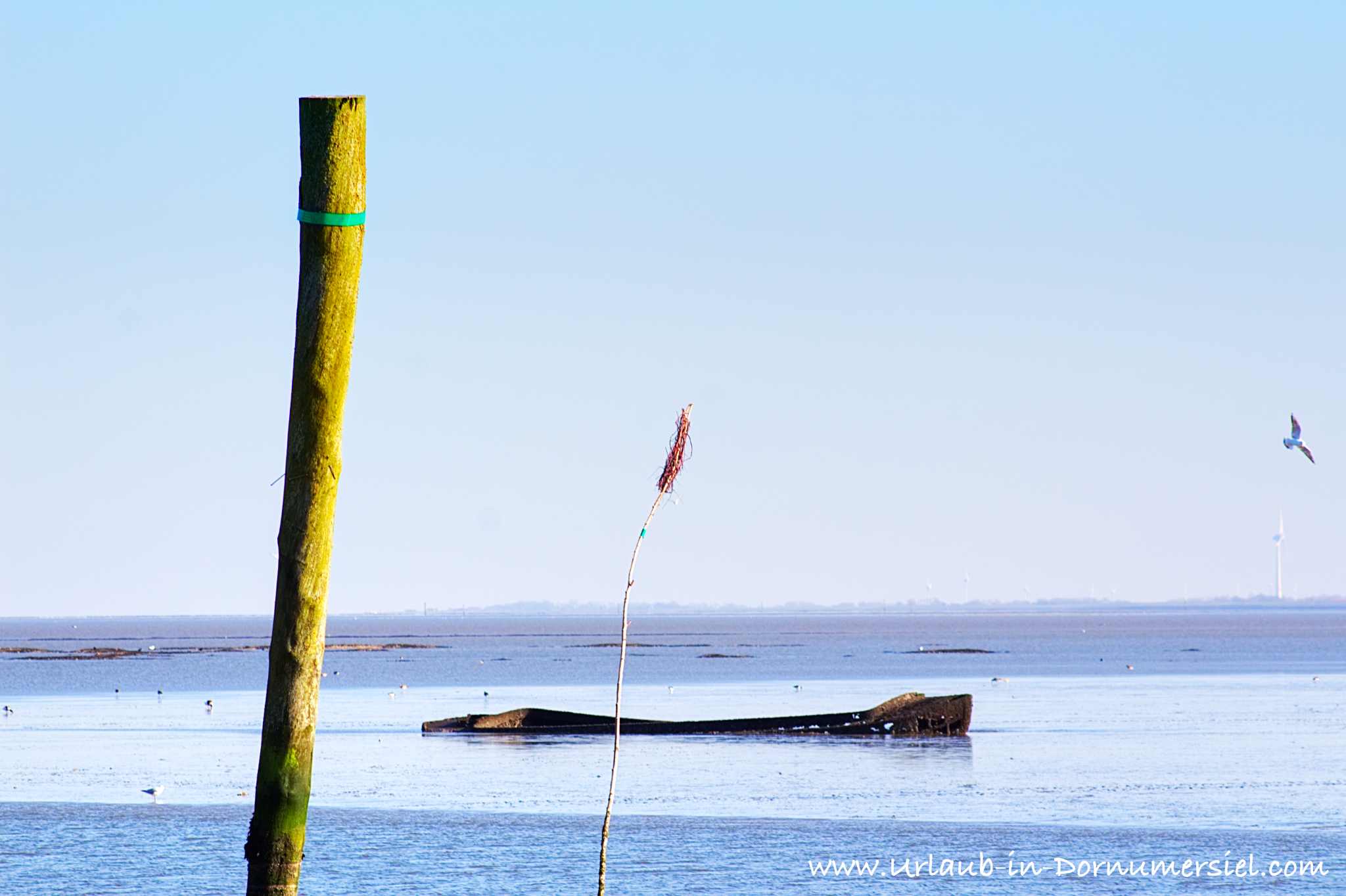 Wrack mit Pfahl